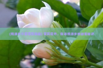 (桃源乡不苦茉莉网盘) 茉莉花开，探寻桃源乡的甜蜜秘诀