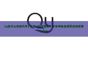 (q是什么标准代号) 代号:QYN揭秘，探寻神秘品牌背后的故事与魅力